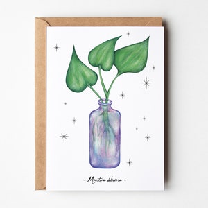 La Monstera - Carte postale illustrée | Botanique, printemps, nature, cabinet de curiosité | Carte illustrée, décoration murale