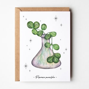 La Peperomia - Carte postale illustrée | Botanique, nature, cabinet de curiosité | Carte illustrée, décoration murale, carte de voeux