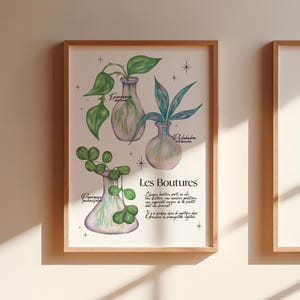 Les Boutures - Illustration A4 | Wall decoration, poster, Christmas gift, christmas gift idea, plant poster, botanical poster