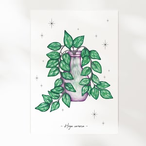 Les Boutures - L'Hoya Carnosa | Illustration A5 | Botanique, plante, nature, cabinet de curiosité | Carte illustrée, décoration murale