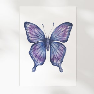 Papillon Crépuscule - Illustration A5 | Botanique, nature, cabinet de curiosité | Carte illustrée, décoration murale Inactive