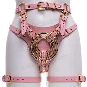 Könnte beinhalten: Rosa Ledergeschirr mit goldenen Beschlägen. Das Geschirr verfügt über ein großes kreisförmiges Design mit mehreren Ringen und Riemen, die an Taille und Oberschenkeln befestigt werden.