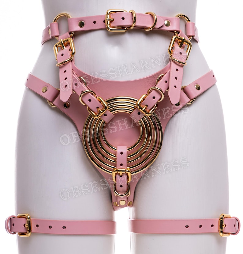 May include: Pink leather harness with gold hardware. The harness features a large circular design with multiple rings and straps that connect to the waist and thighs.