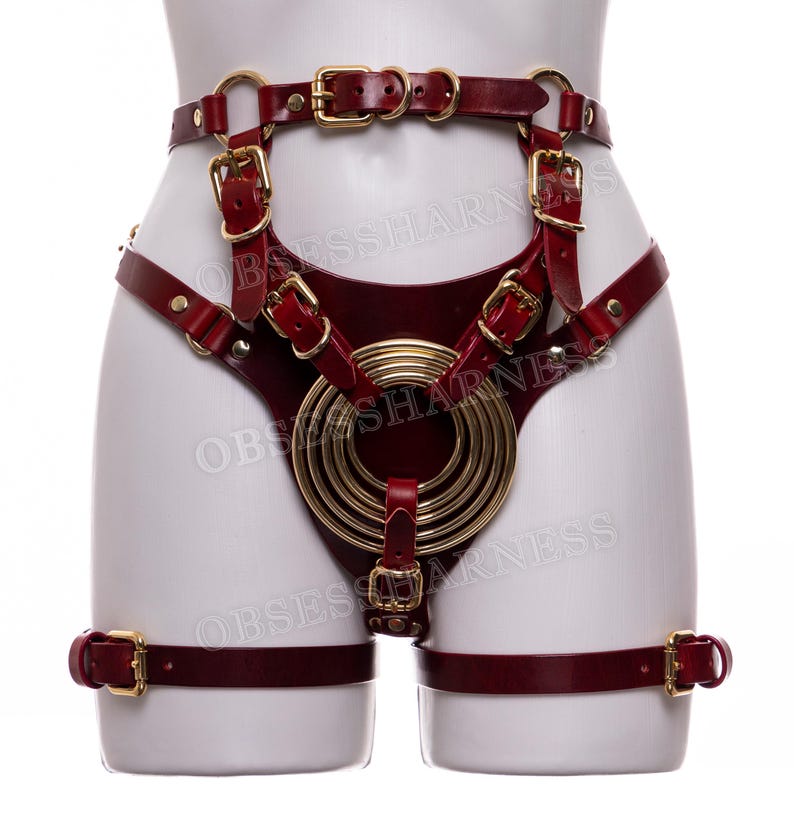 May include: A burgundy leather harness with gold metal rings and buckles. The harness has a large circular design in the front and straps that go around the legs.