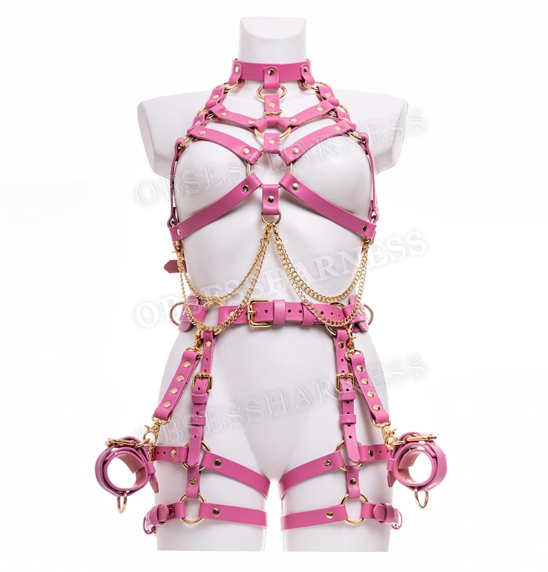 May include: Pink leather harness with gold hardware and chains. The harness includes a chest piece, a belt, and thigh straps. The harness is designed to be worn over clothing.
