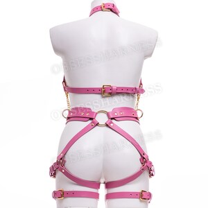 May include: Pink leather harness with gold hardware. The harness includes a choker, chest piece, waist belt, and thigh straps.