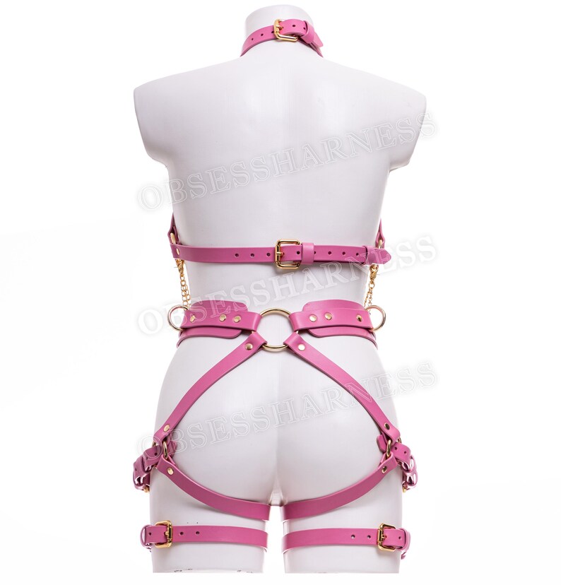 May include: Pink leather harness with gold hardware. The harness includes a choker, chest piece, waist belt, and thigh straps.
