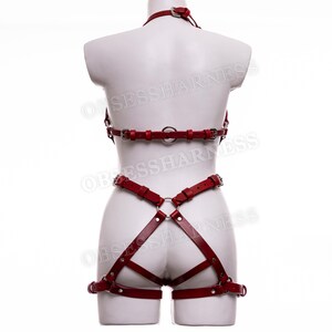 May include: Red leather harness with straps and buckles. The harness includes a chest piece, a waist belt, and thigh straps.