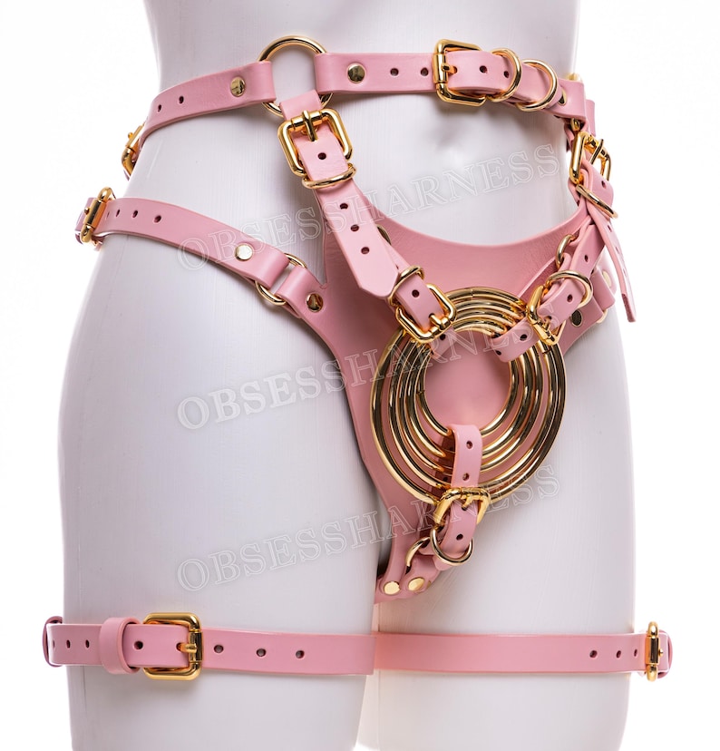 May include: Pink leather harness with gold metal rings and buckles. The harness has straps that go around the waist, thighs, and chest. The harness is designed to be worn as a fashion accessory.