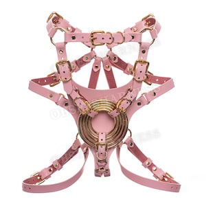 May include: Pink leather harness with gold metal rings and buckles. The harness has multiple straps and is designed to be worn around the chest and waist.