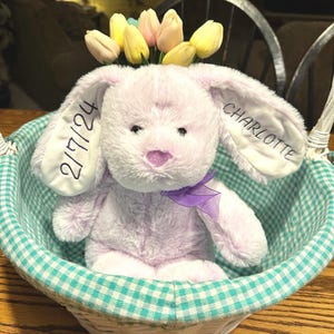 May include: A lavender plush bunny with embroidered ears that say "Charlotte" and "2/17/24". The bunny is sitting in a white wicker basket with a teal and white checkered lining. The bunny is wearing a purple ribbon and has yellow and pink flowers on its head.