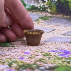 Può includere: Un piccolo vaso di fiori in terracotta marrone con un bordo decorativo. Il vaso in miniatura è non smaltato e ha un design classico e semplice. Perfetto per piccole piante o come elemento decorativo. Il vaso è alto circa 3,8 cm.