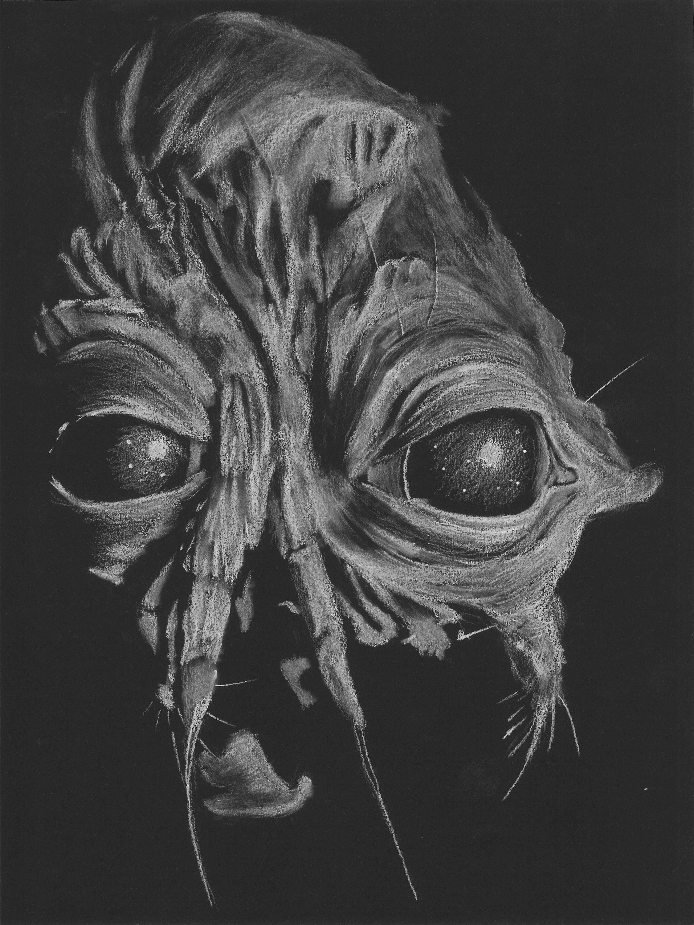 Brundlefly Art - Etsy