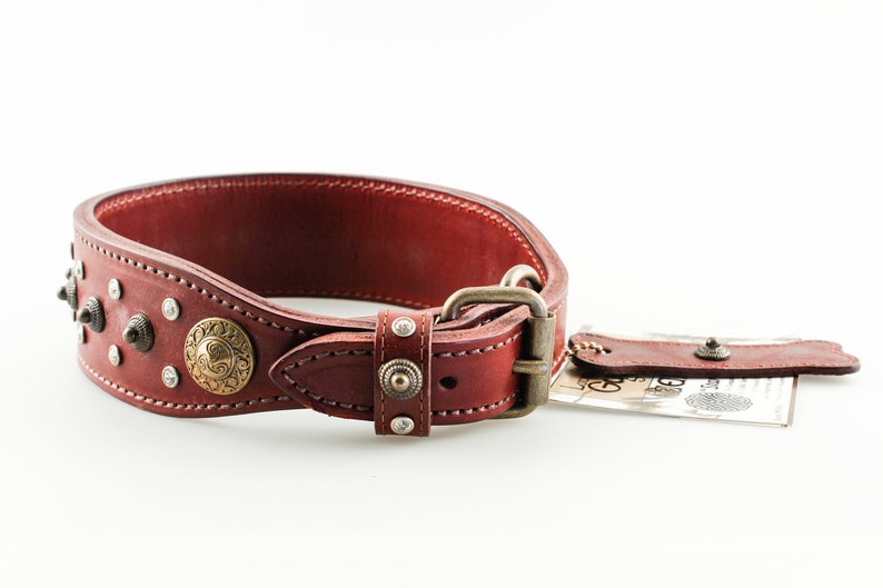 23 Latigo Guardian Dog Collar Etsy