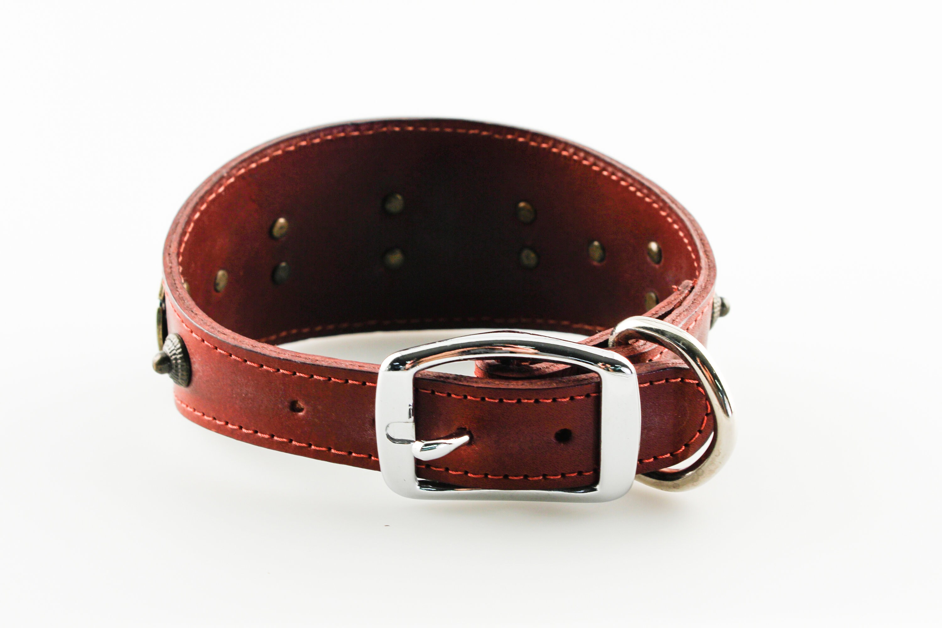 18 Latigo Guardian Dog Collar w/ Celtic Star Lead Etsy.de