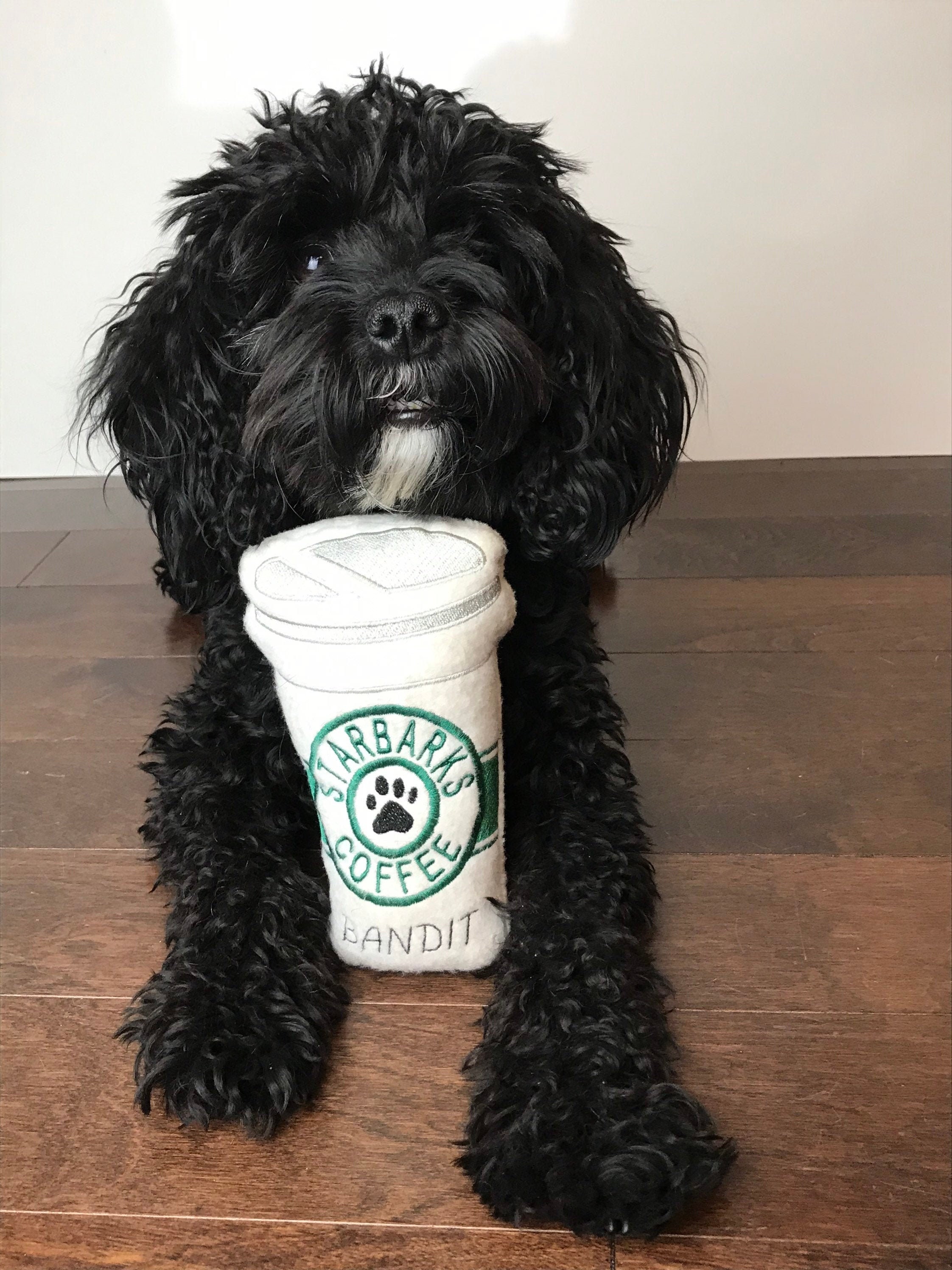 For Dogs Puppy Treat Starbucks Starbucks Dog Toys