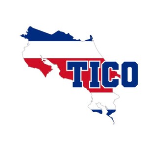 Bumper car ,Tico stickers