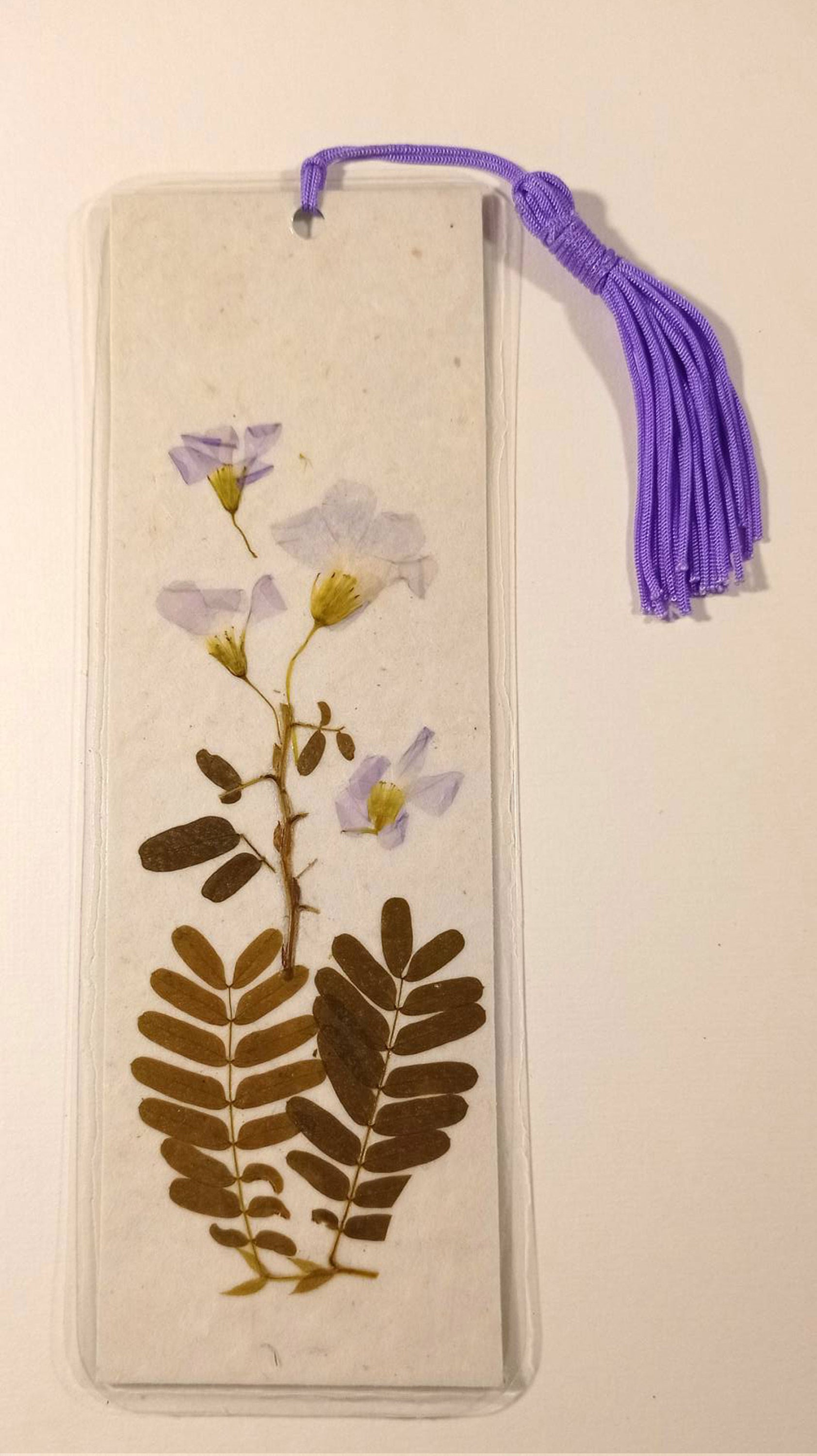 5pcs/pack Flower Room Memory Dried Flower Bookmark