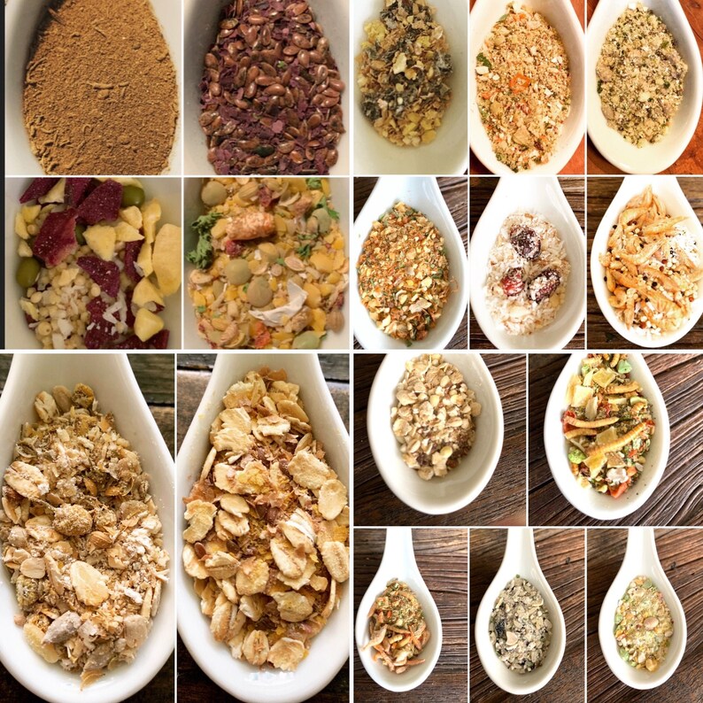 hermit crab food near me