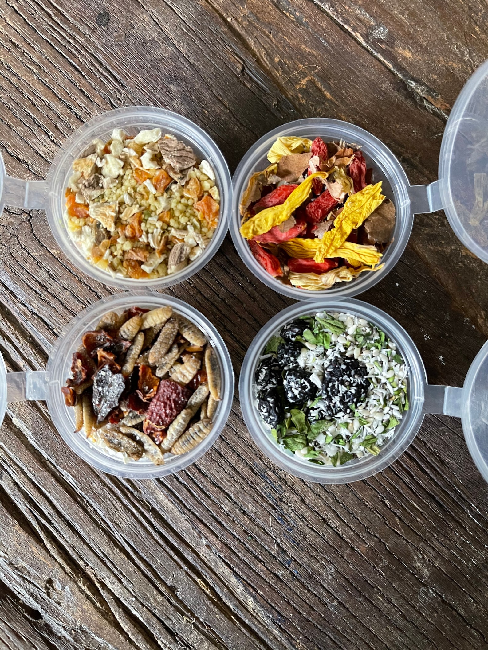 Portland Food Truck Smoothies Bundle Organic Nutritious Etsy