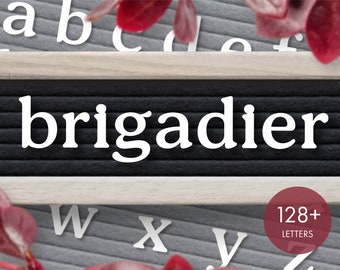 Letterboard Letters --  Brigadier Letterset -- lowercase letter board font