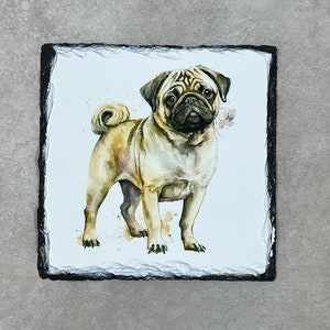 Pug Slate