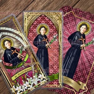 Saint Gemma Galgani, patron of back pain laminated Holy Prayer cards. Stained Glass art. St. Gemma prayer cards.