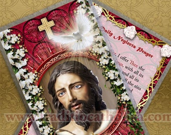 Daily Neglects Catholic Holy Prayer card. Jesus Holy Card