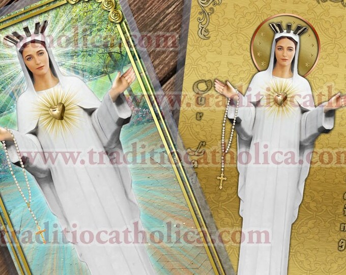 Our Lady of Beauraing Belgium Laminated Catholic Holy Prayer Cards