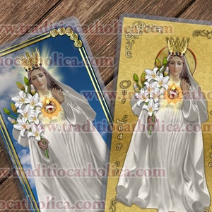 Our Lady of America, the Immaculate Virgin laminated Holy Prayer cards. Prayer for America.