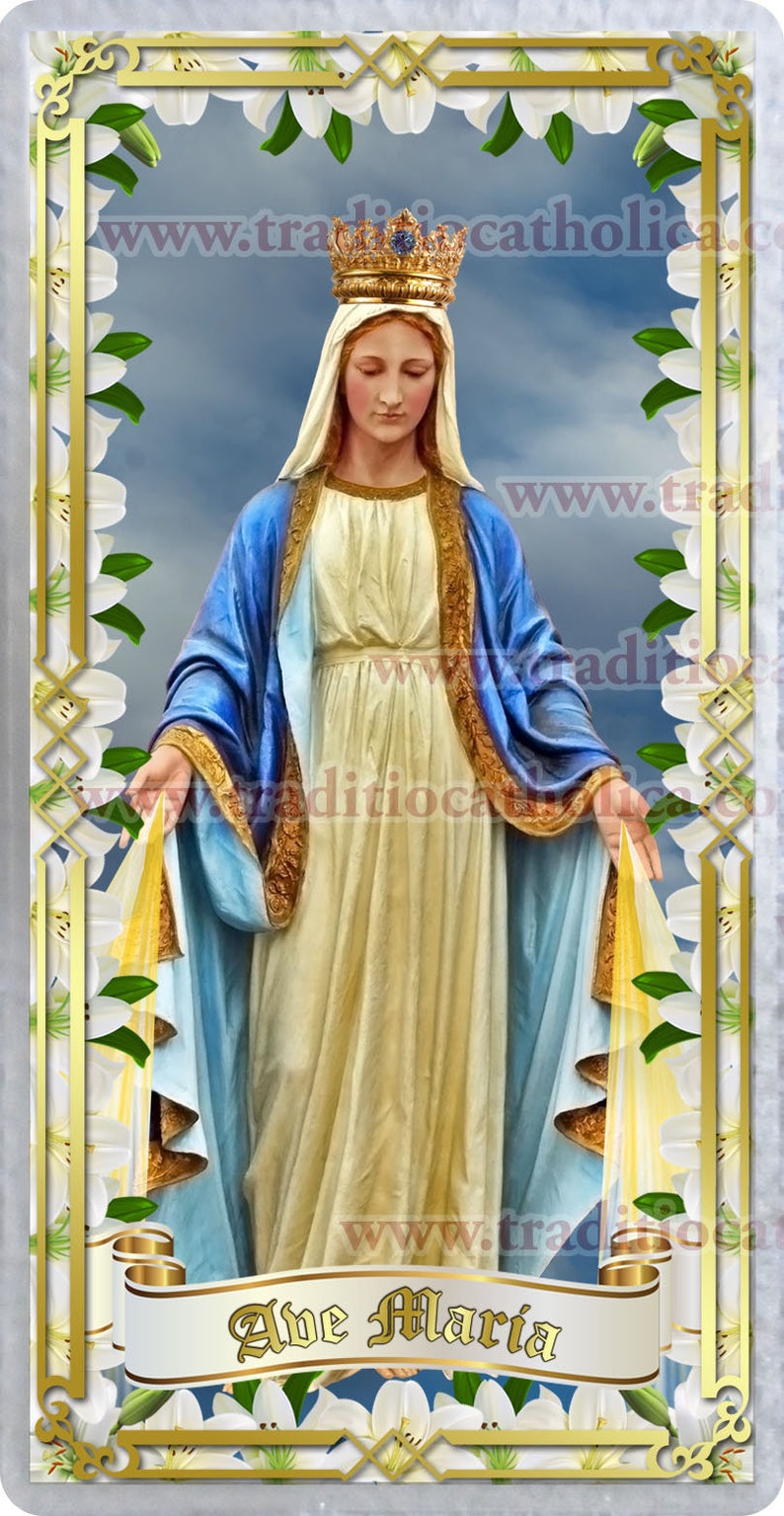 Ave Maria, Hail Mary Traditional Catholic Latin laminated Holy Prayer card. Includes English. image 2