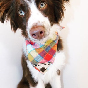 May include: A brown and white dog wearing a red, yellow and blue plaid bandana with a wooden triangular tag that says "Wolf Ona" and a silhouette of pine trees.