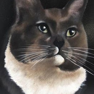 Op de afbeelding: Een close-up portret van een kat met bruin en wit haar. De kat heeft groene ogen en een witte vlek op zijn borst.