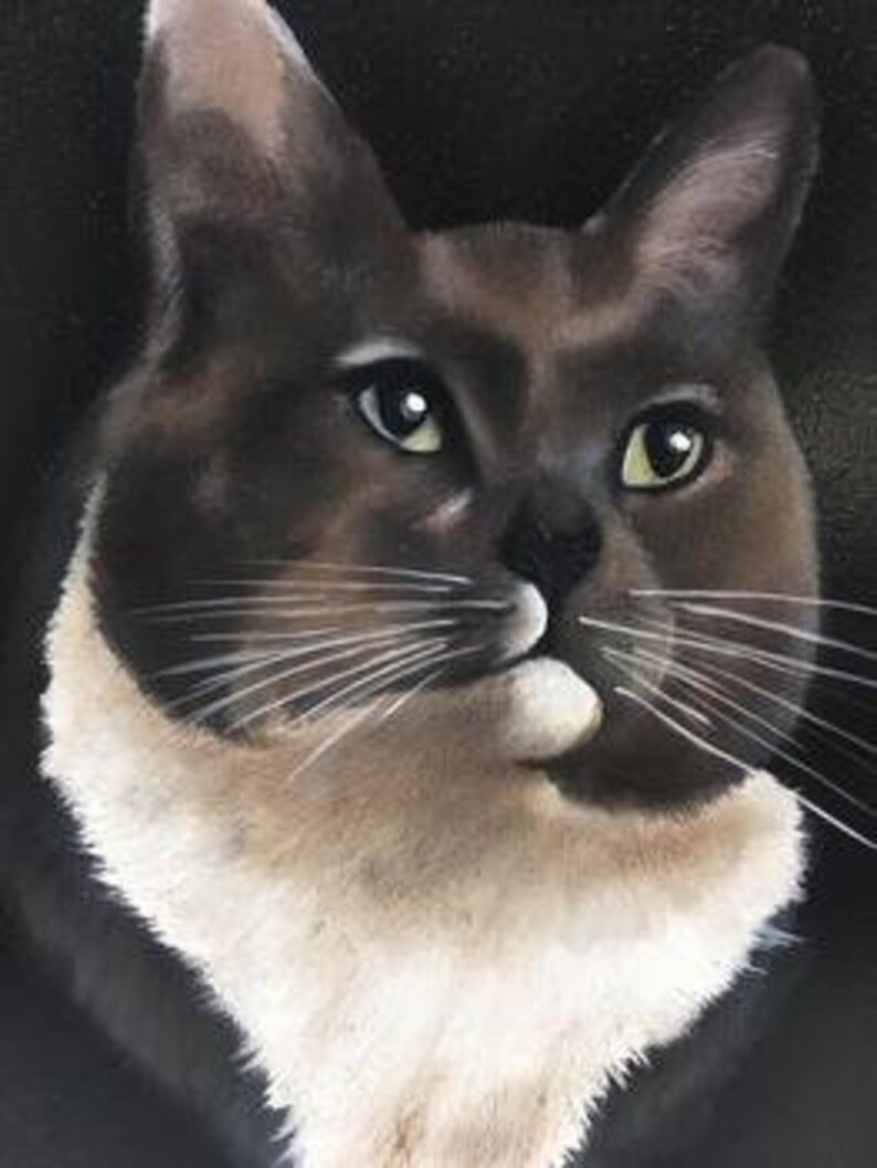 Op de afbeelding: Een close-up portret van een kat met bruin en wit haar. De kat heeft groene ogen en een witte vlek op zijn borst.