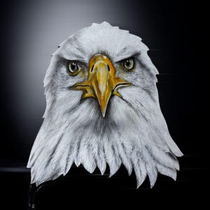 May include: A detailed illustration of a bald eagle's head, featuring white feathers and a yellow beak. The eagle's piercing eyes and sharp features are highlighted against a dark background, creating a striking contrast.