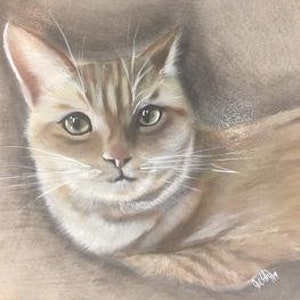Op de afbeelding: Een close-up portret van een tabbykat met groene ogen. De kat ligt en kijkt rechtstreeks naar de kijker. De achtergrond is zachtbruin.