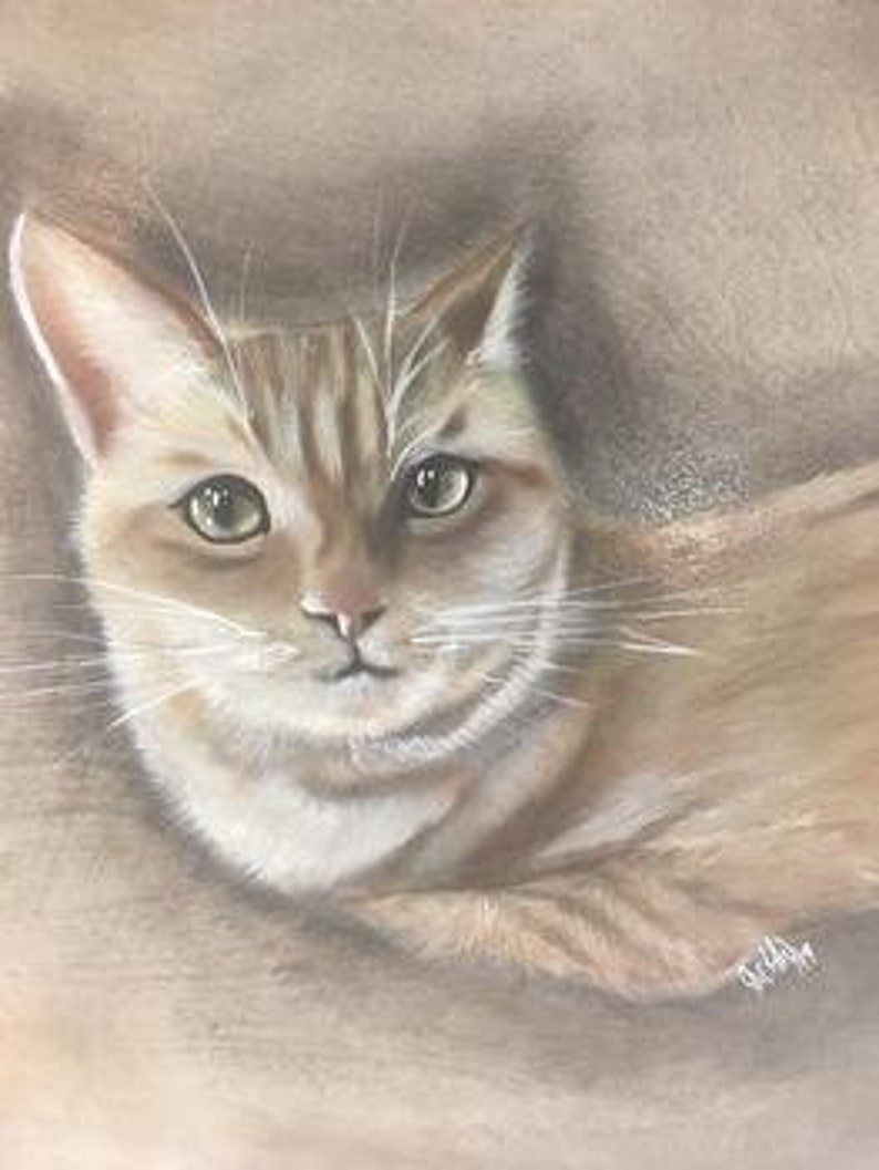 Op de afbeelding: Een close-up portret van een tabbykat met groene ogen. De kat ligt en kijkt rechtstreeks naar de kijker. De achtergrond is zachtbruin.