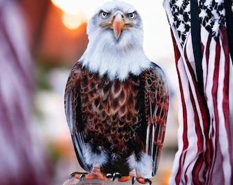 Eagle cut out 9”