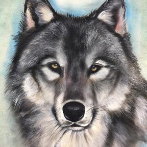 Op de afbeelding: Een close-up portret van een grijze wolf met een zachte, pluche vacht. De wolf heeft doordringende gele ogen en een serieuze uitdrukking. De achtergrond is zacht blauw en wit.