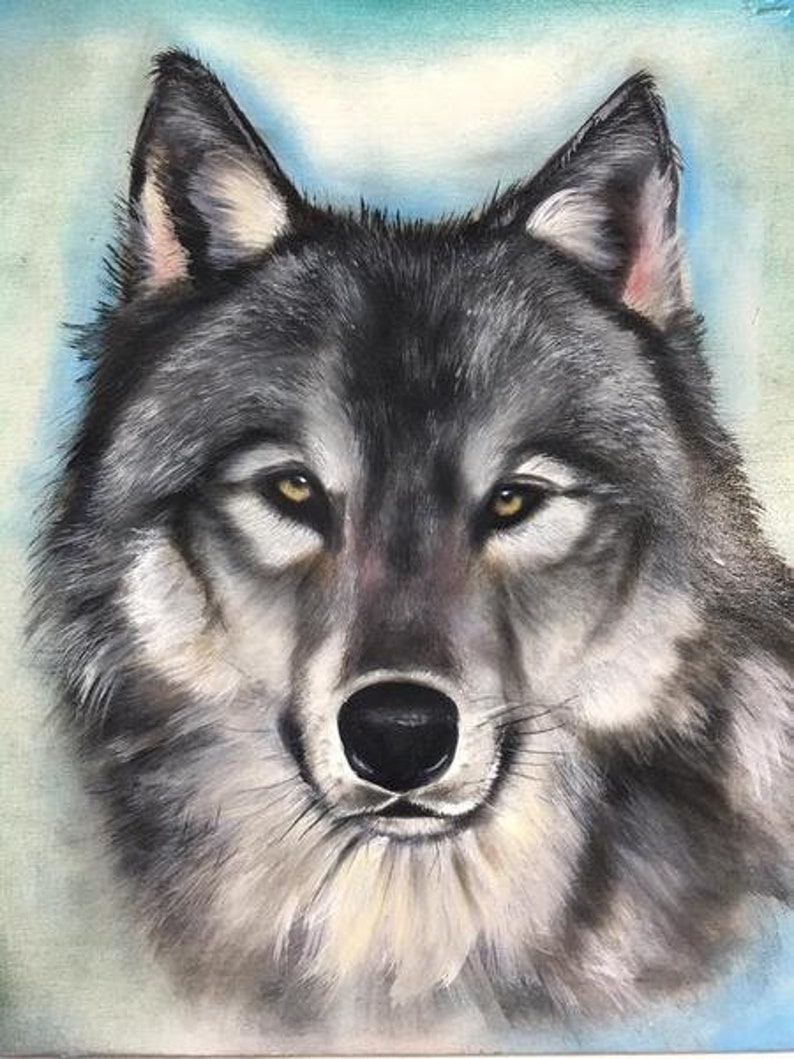 Op de afbeelding: Een close-up portret van een grijze wolf met een zachte, pluche vacht. De wolf heeft doordringende gele ogen en een serieuze uitdrukking. De achtergrond is zacht blauw en wit.