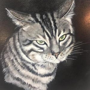 Op de afbeelding: Een close-up portret van een tabbykat met groene ogen. De kat kijkt rechtstreeks naar de kijker met een serieuze uitdrukking. De achtergrond is donker en wazig.