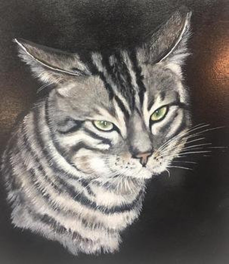 Op de afbeelding: Een close-up portret van een tabbykat met groene ogen. De kat kijkt rechtstreeks naar de kijker met een serieuze uitdrukking. De achtergrond is donker en wazig.