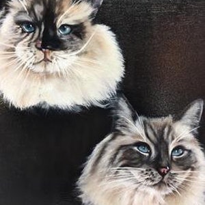 Op de afbeelding: Schilderij van twee pluche witte en grijze katten met blauwe ogen. De katten kijken rechtstreeks naar de kijker. De achtergrond is zwart.