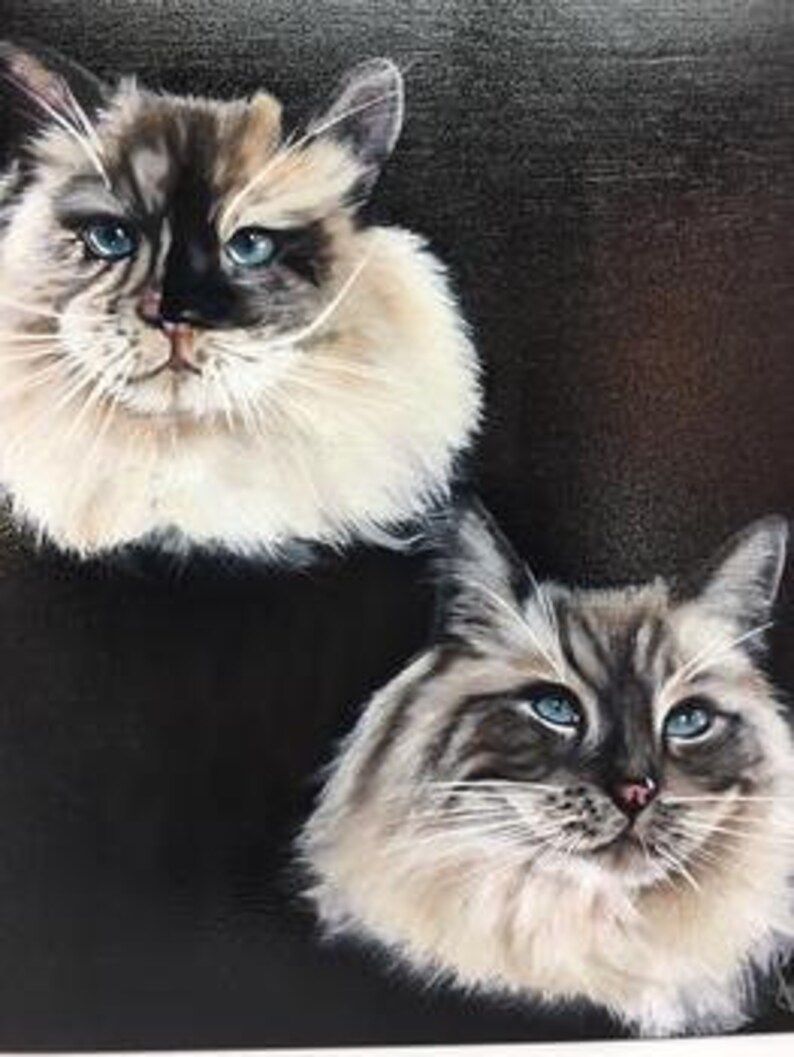Op de afbeelding: Schilderij van twee pluche witte en grijze katten met blauwe ogen. De katten kijken rechtstreeks naar de kijker. De achtergrond is zwart.