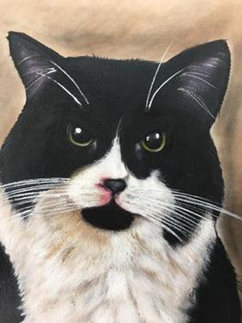 Op de afbeelding: Een zwart-witte kat met groene ogen kijkt rechtstreeks naar de kijker. De kat heeft een witte vlek op zijn borst en een roze neus.