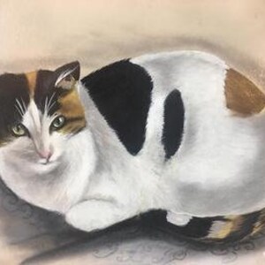 Op de afbeelding: Een close-up van een driekleurige kat met groene ogen, liggend op een gepatroneerd oppervlak. De kat heeft witte, zwarte en oranje vacht.