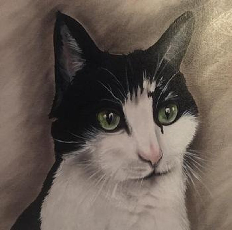 Op de afbeelding: Een zwart-witte kat met groene ogen. De kat kijkt recht naar de kijker.