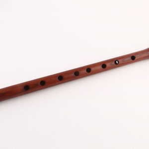 Armenian Pro GGA Duduk in A, B, C, D, E, G, Bb, 2 Reeds, GGA Brand ...