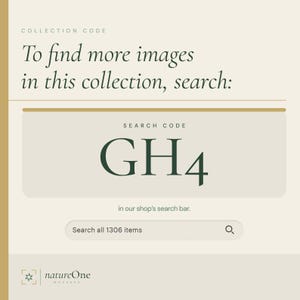 a green square with the words search on it