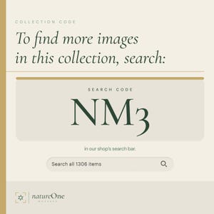 a green banner with a picture of a branch and the words search nm3 in